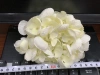 Aromatherapy Item Picture